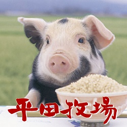 �X���C���[�W